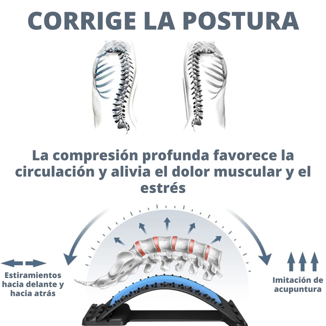 Masajeador lumbar y camilla-PureFlex™